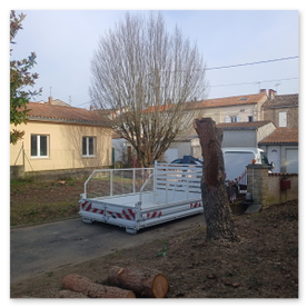 Élagage Abattage Angoulême Charente Cognac Barbezieux