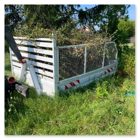 Élagage Abattage Angoulême Charente Cognac Barbezieux