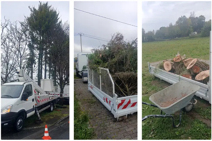 Élagage Abattage Devis Angoulême Charente